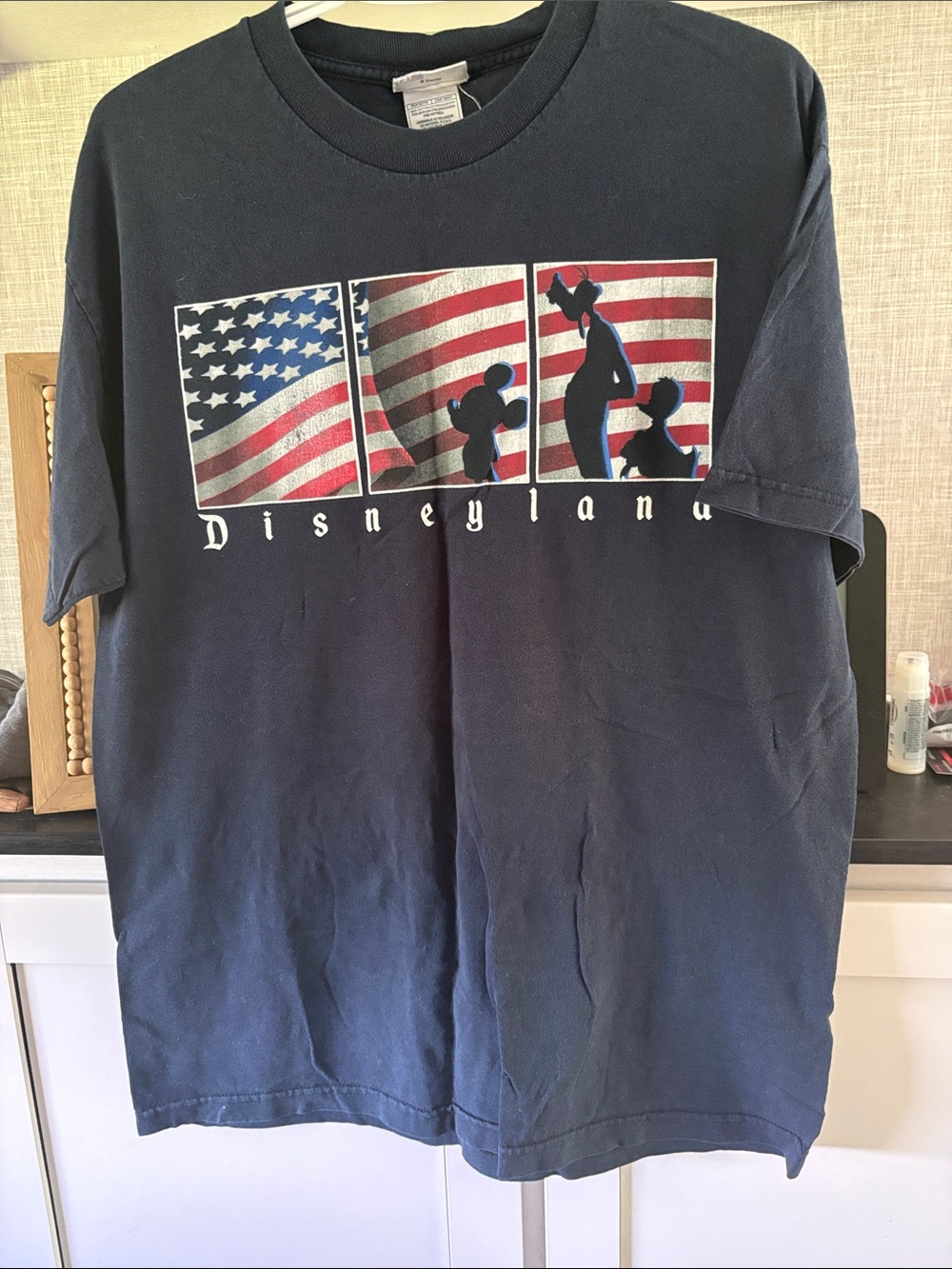 Disneyland Men's Navy Short Sleeve Graphic Tee